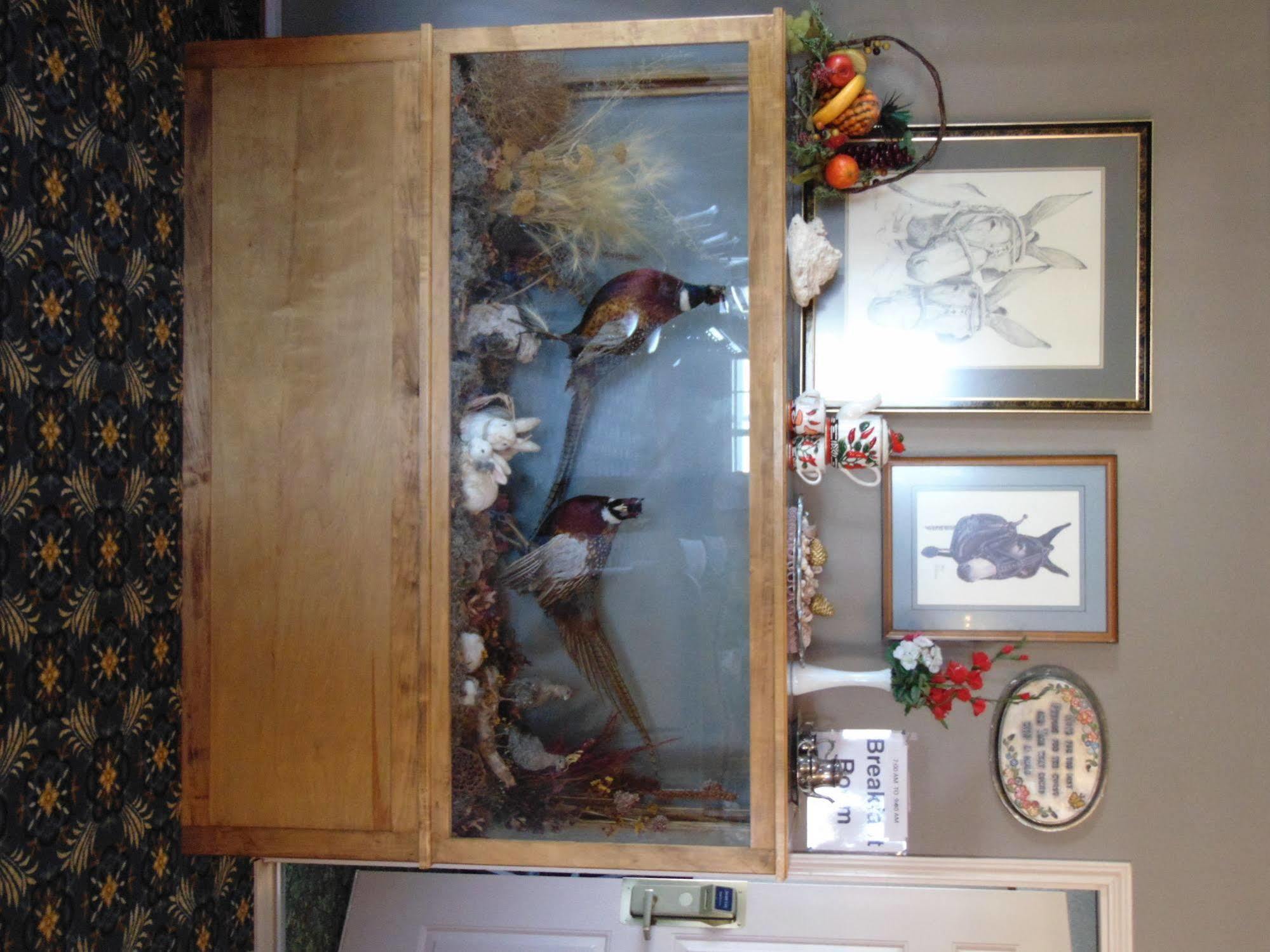 Muleshoe Heritage House Inn מראה חיצוני תמונה